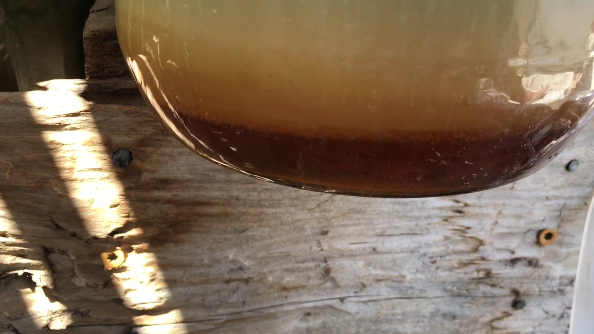 02 Honey Layer At Base Of Fermentation Jug