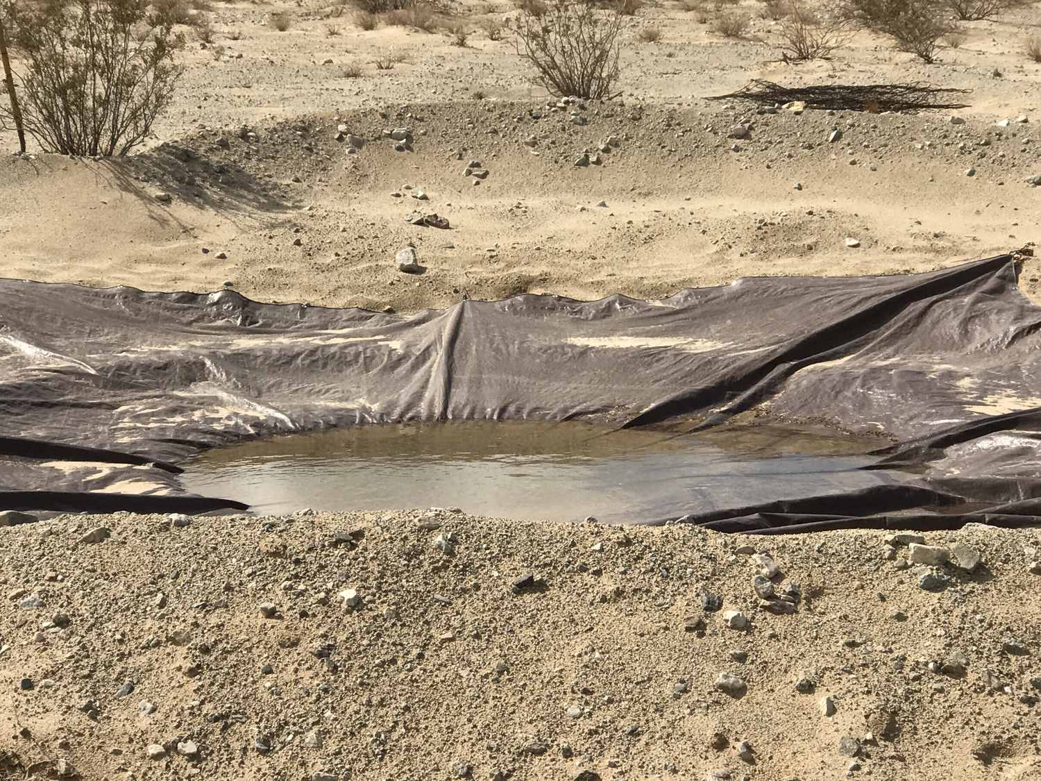 02 Rain Water Catchment Tarp Yield The Day After The Storm 01