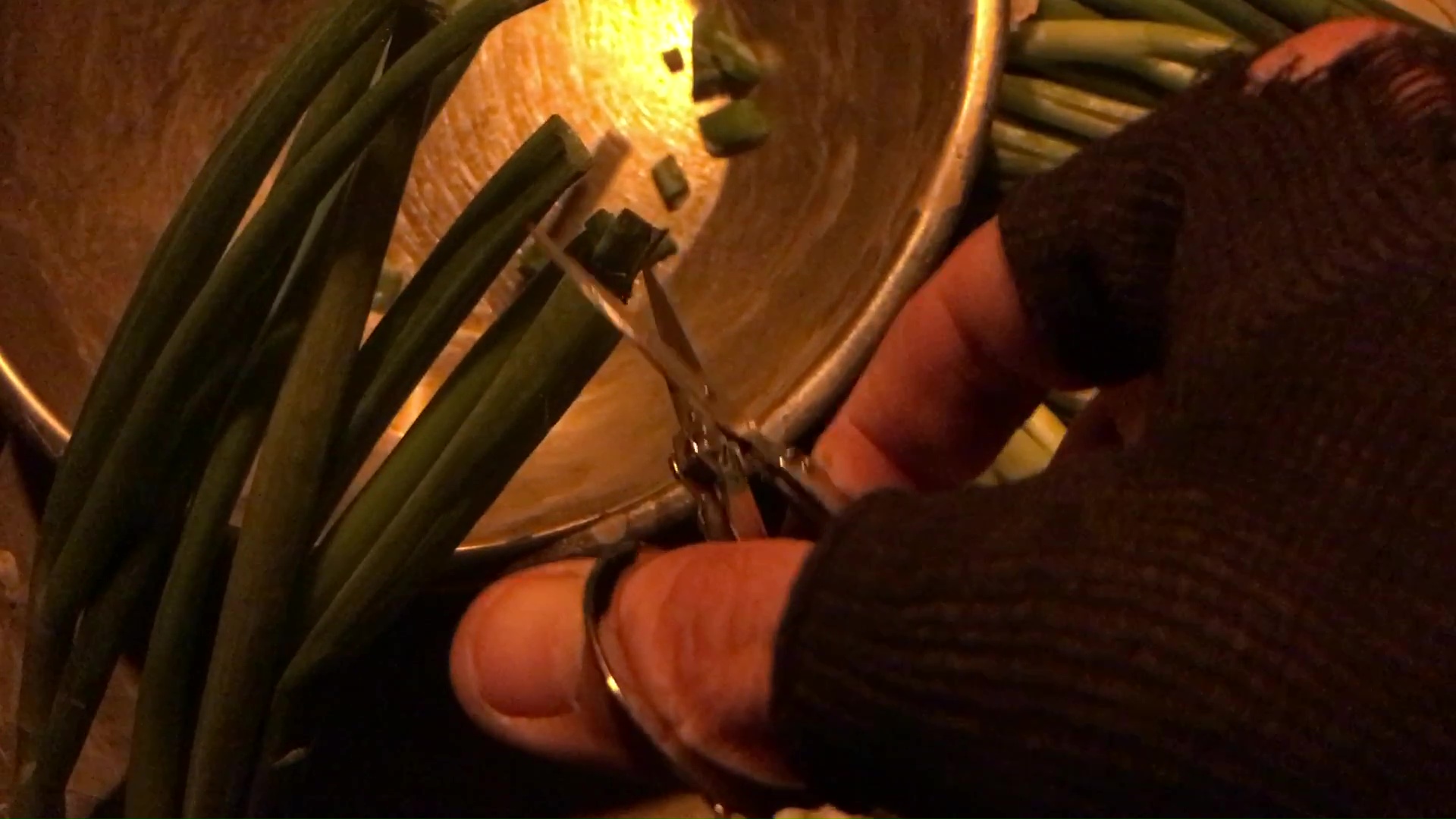 03 Cutting Green Onions With Folding Stainless Steel Scissors For Brine Fermentation