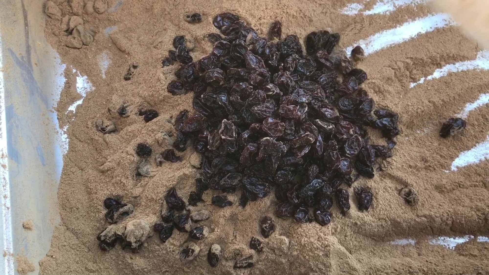 03 Mixing Raisins With Cinnamon And Ginger Powder To Coat Raisins