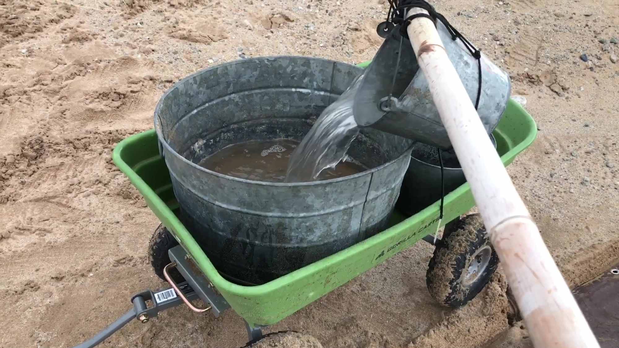 05 Pouring Rain Water Filled Pail Into Metal Basin In Cart For Transport To Filtration And Storage Tanks