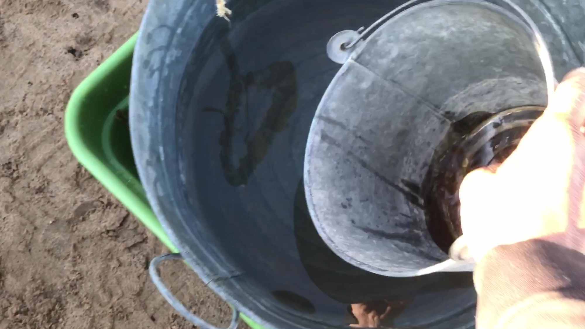 09 Using Galvanized Pail To Transfer Rain Water To Filter System