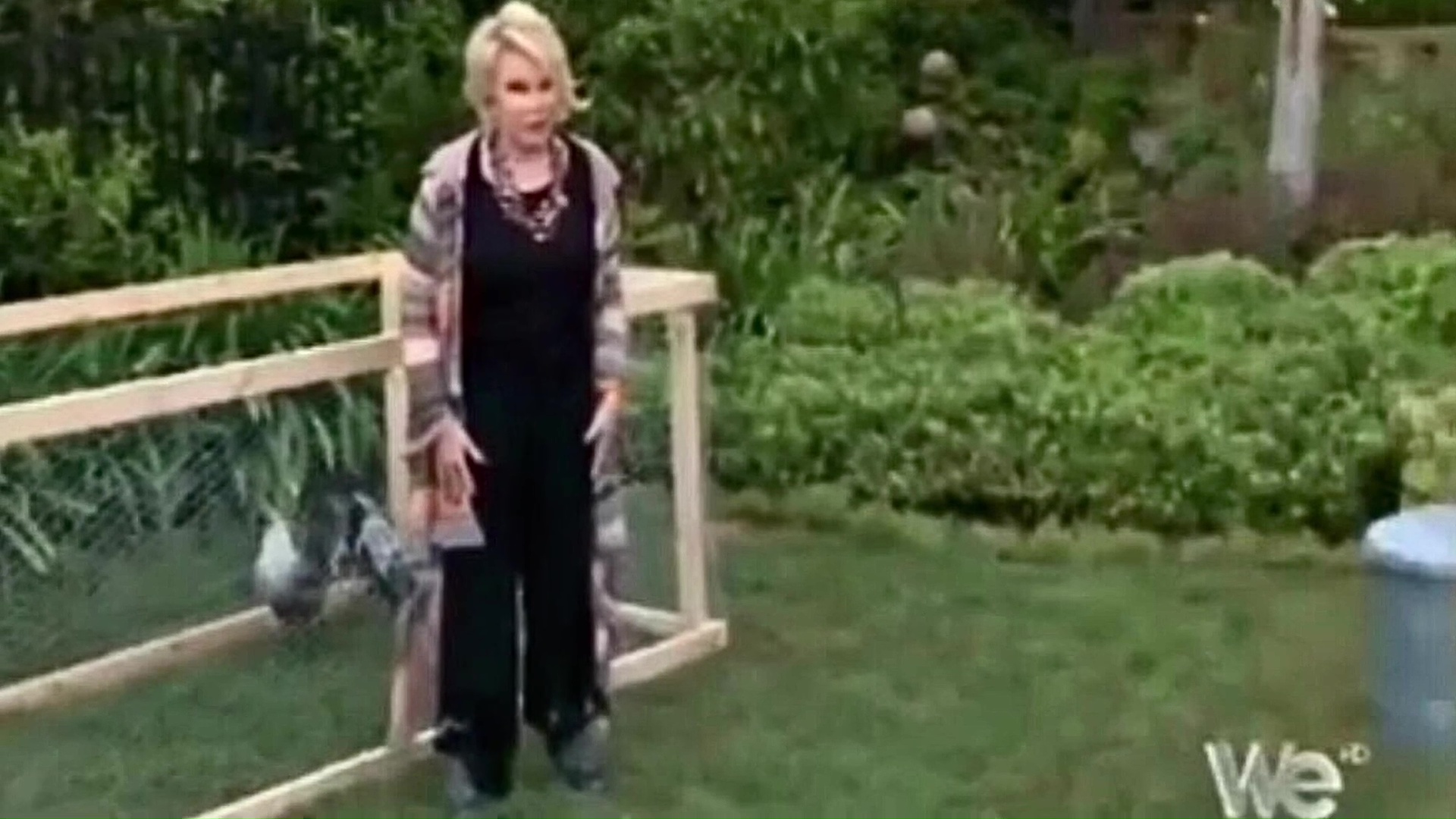 11 Joan Rivers Picking Up And Moving Chicken In Backyard 05