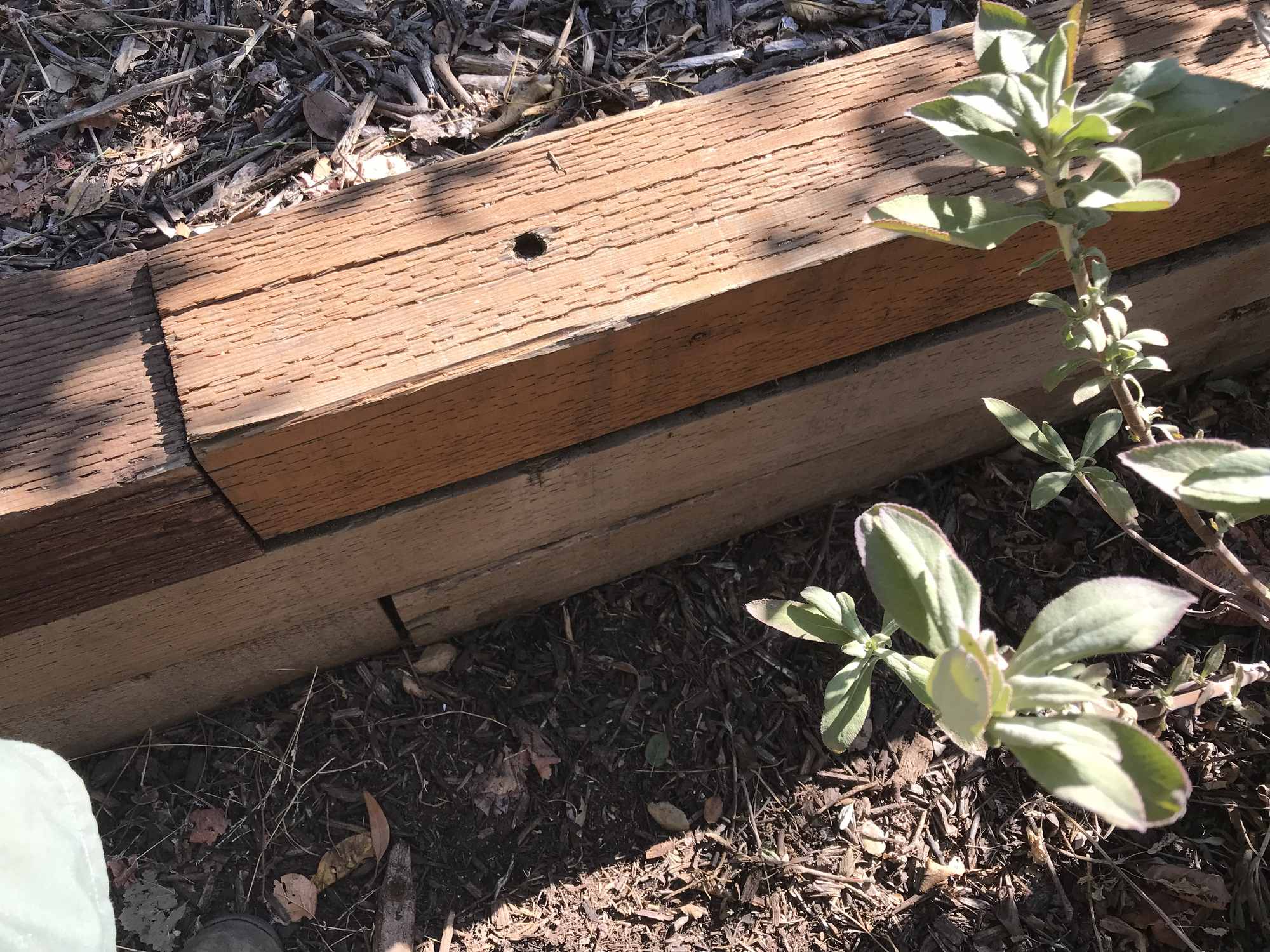 Alternating Wood Beam Terrace Garden Wall Pattern