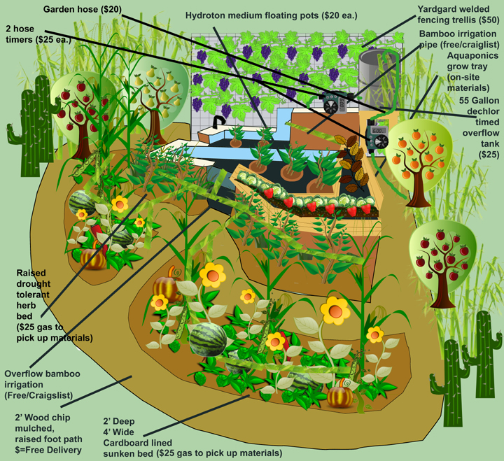 Backyard Aquaculture Food Forest Design Plan