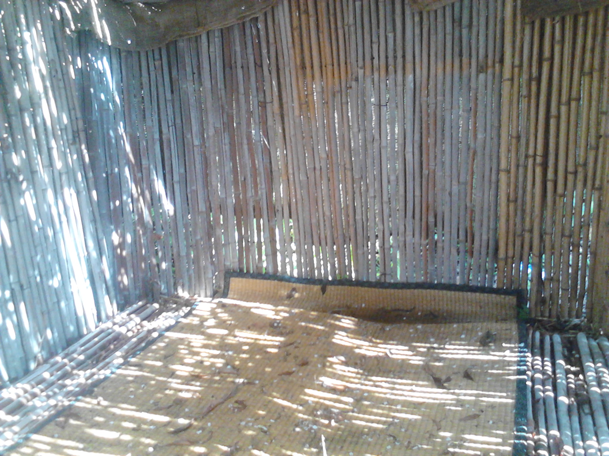 Backyard Bamboo Hut