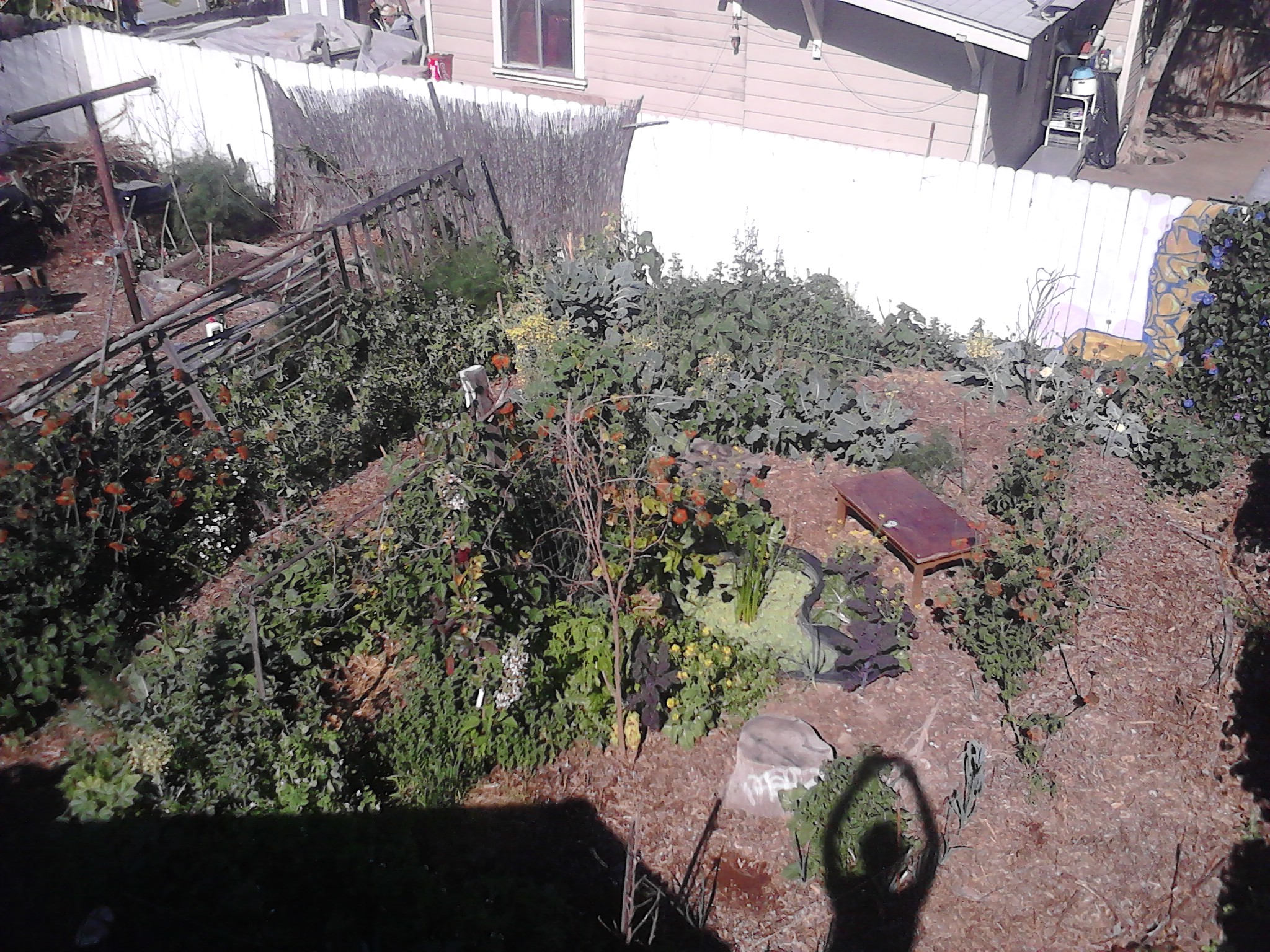 Backyard Food Forest Garden with Pond 04