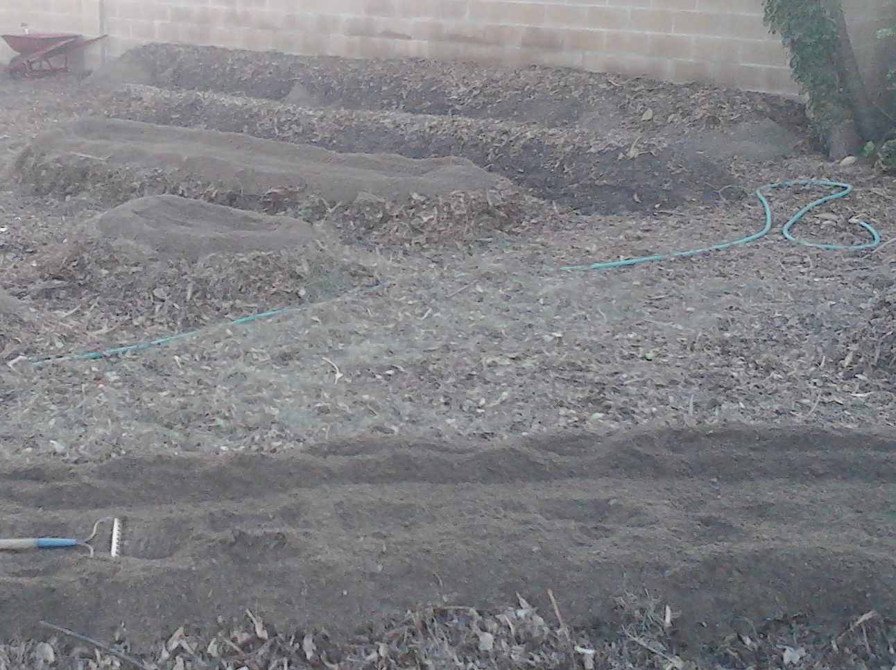Backyard Soaker Hose Irrigation Systems
