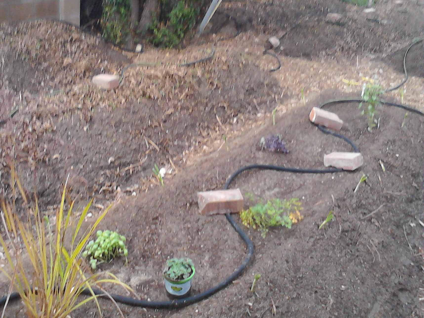 Backyard Soaker Hose Irrigation Systems