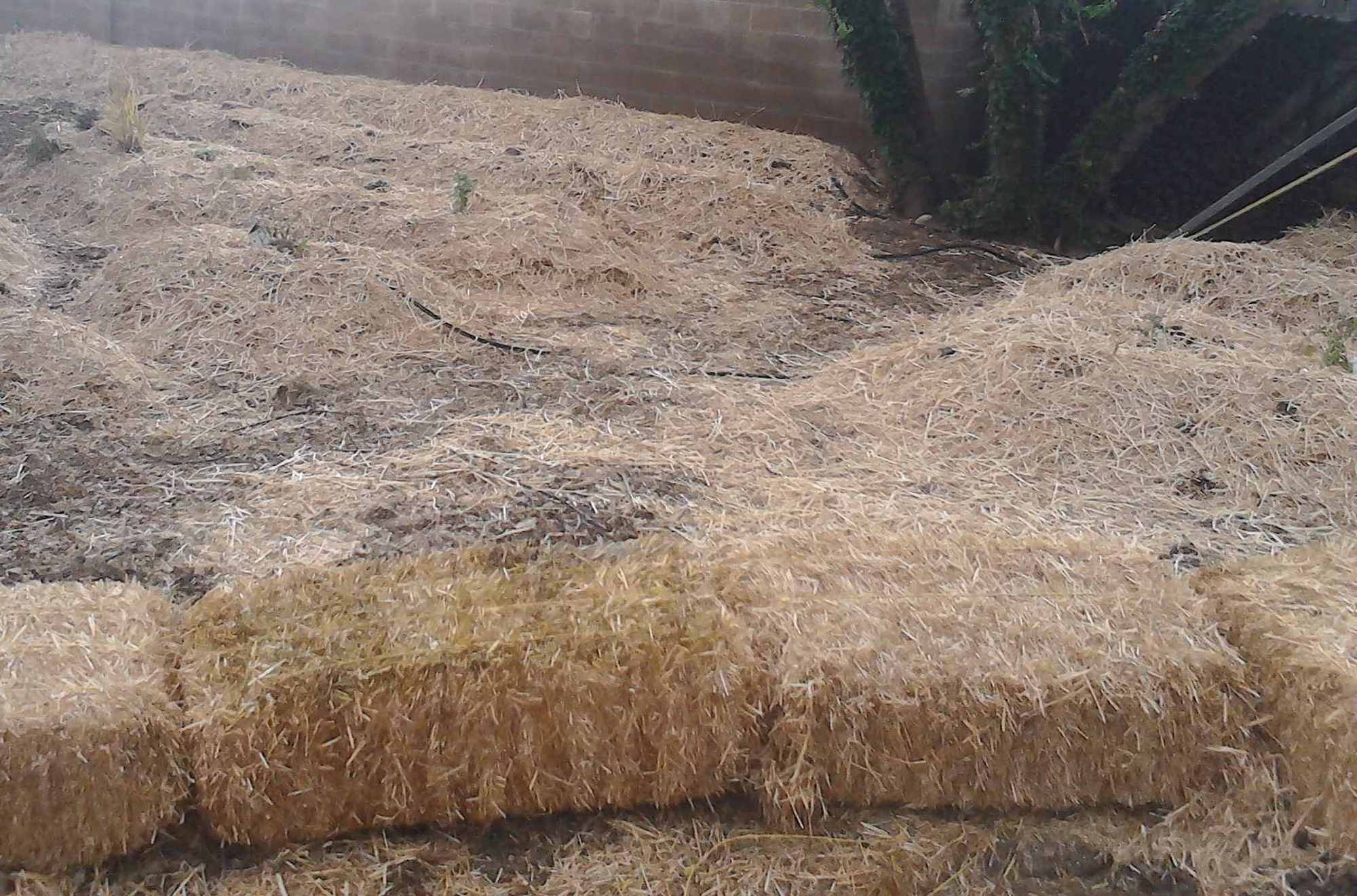 Backyard Straw Bale Mulch and Composting Projects