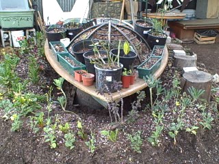 Boat Nursery in Survival Garden