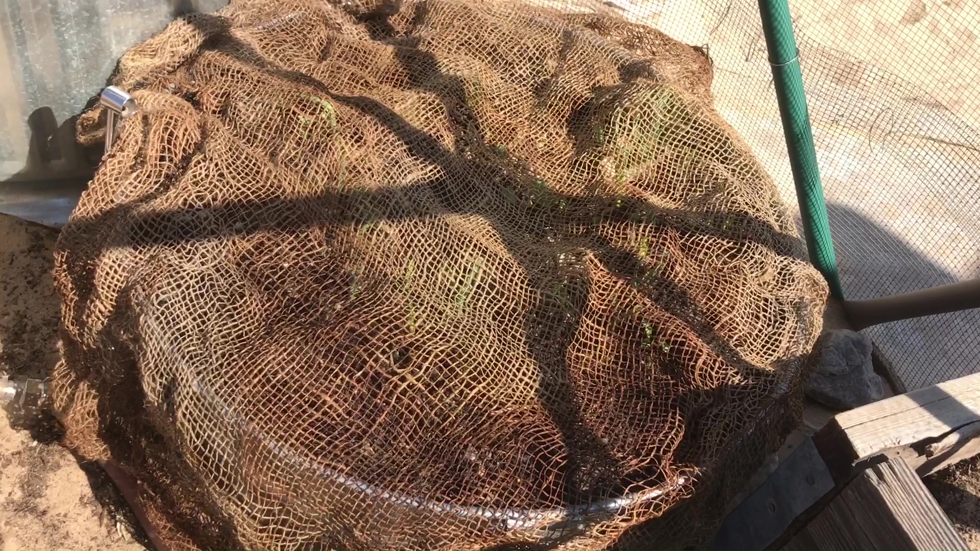 Burlap Shade Cloth Over Galvanized Can Garden To Block Sun And Wind 02