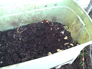 Cinder Block Plastic Bin Bucket Worm Compost Tea Platform 01