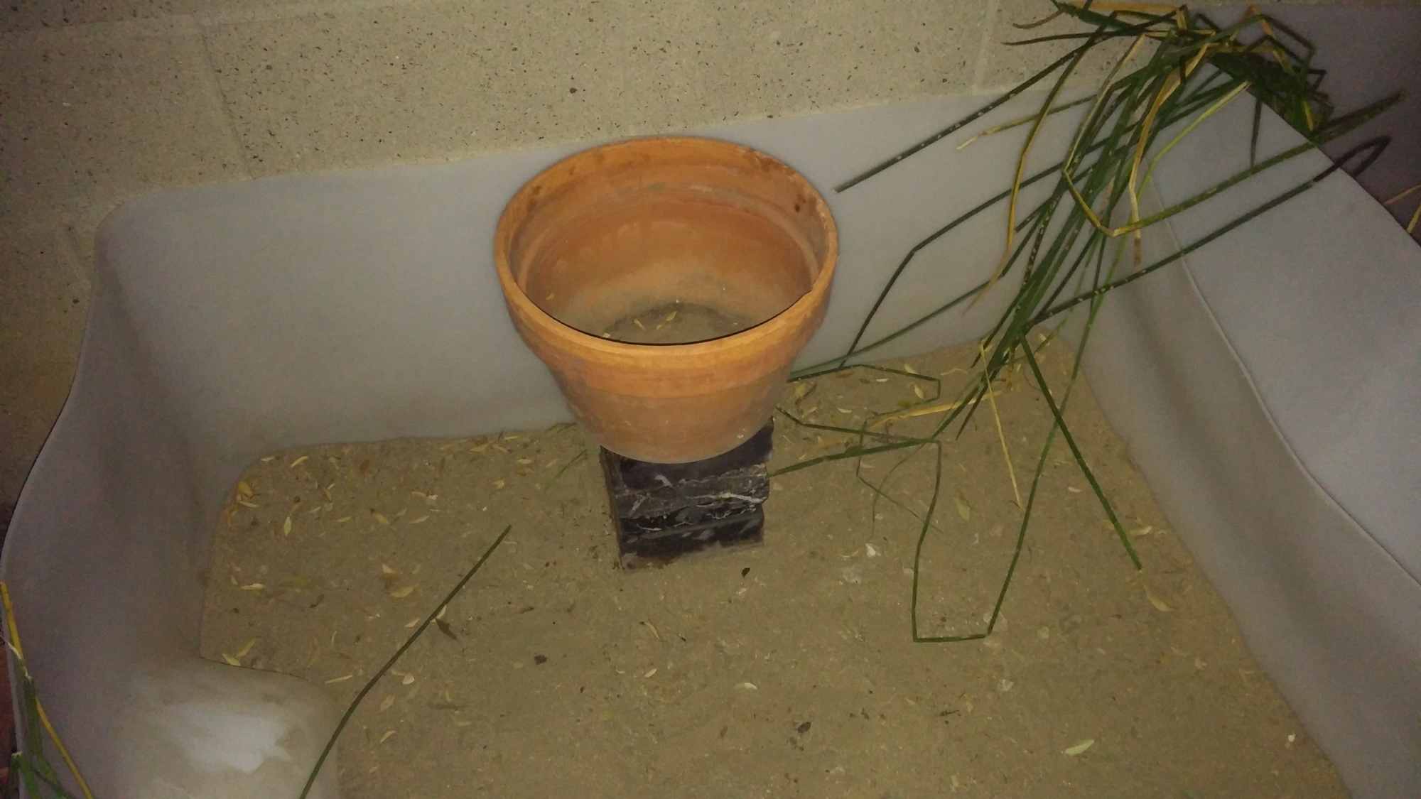 Clay Pots in IBC Tote Chinampa Aquaculture Island Water Gardens 01