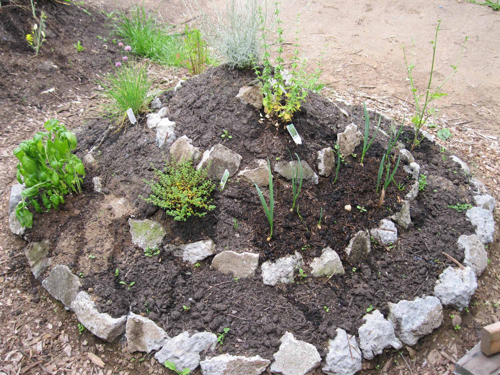 Concentric Circle Tiers Garden