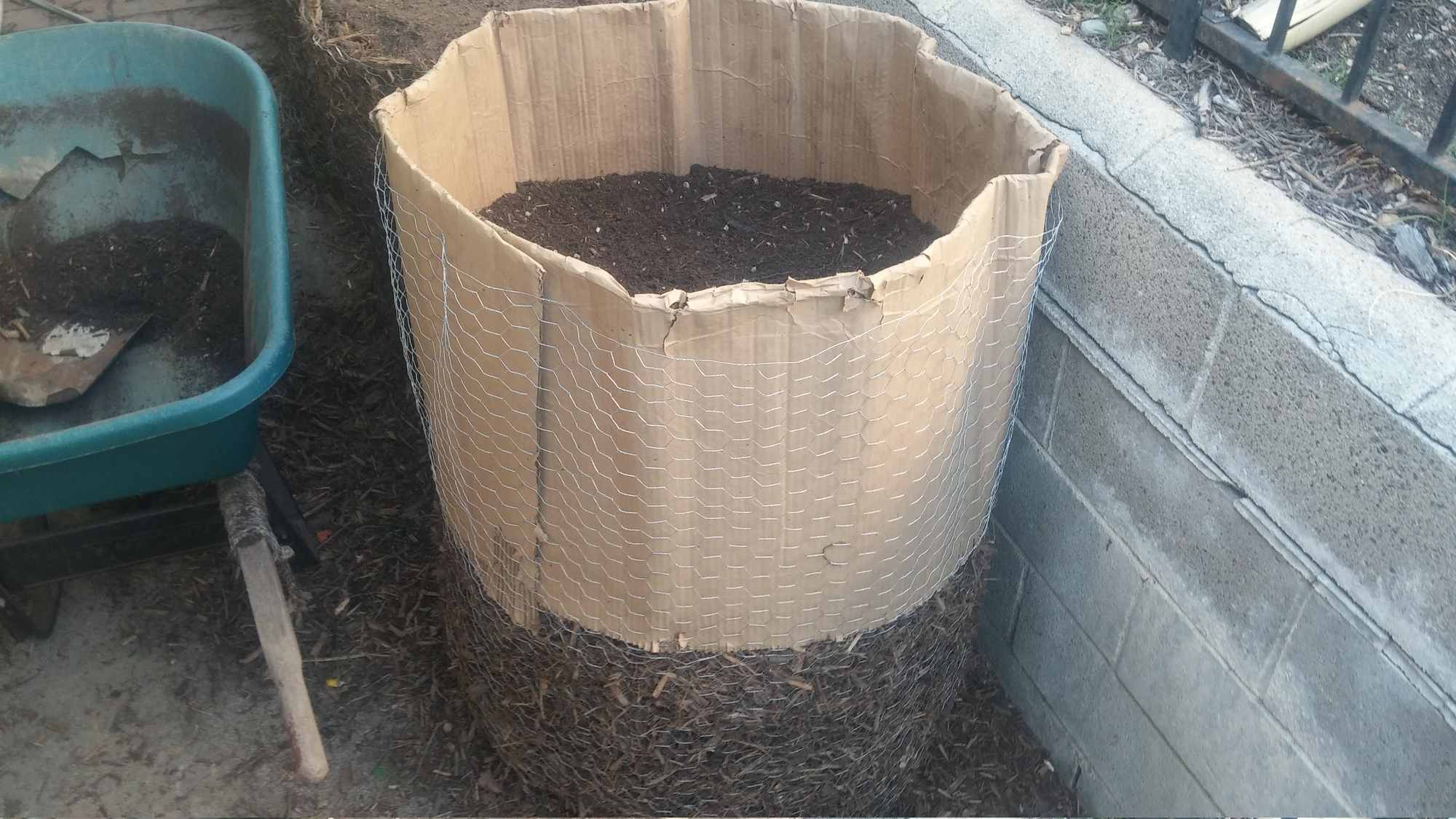 Dog Proof Cardboard Chicken Wire Pots 05