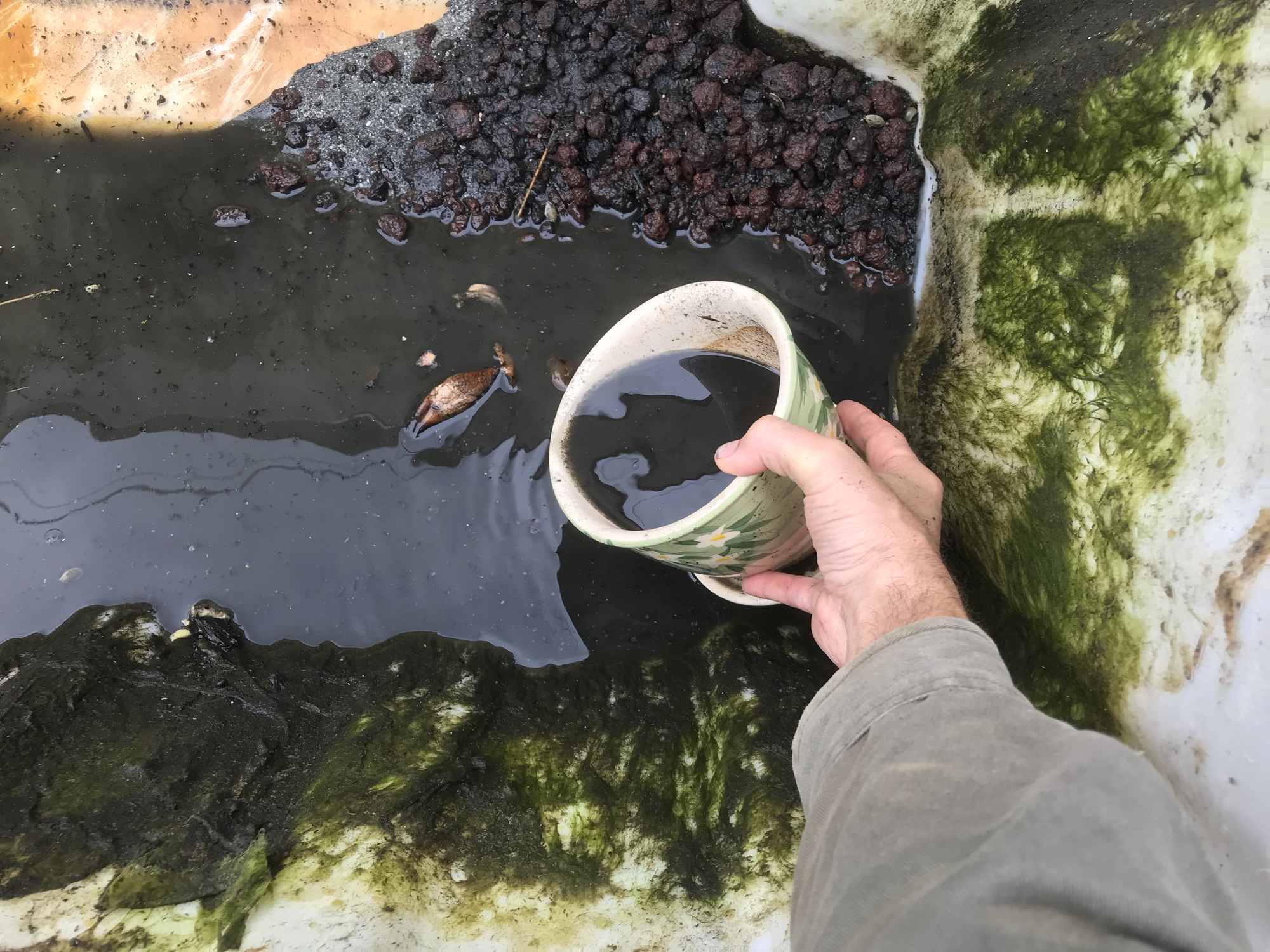 Fertile Pond Muck Harvesting