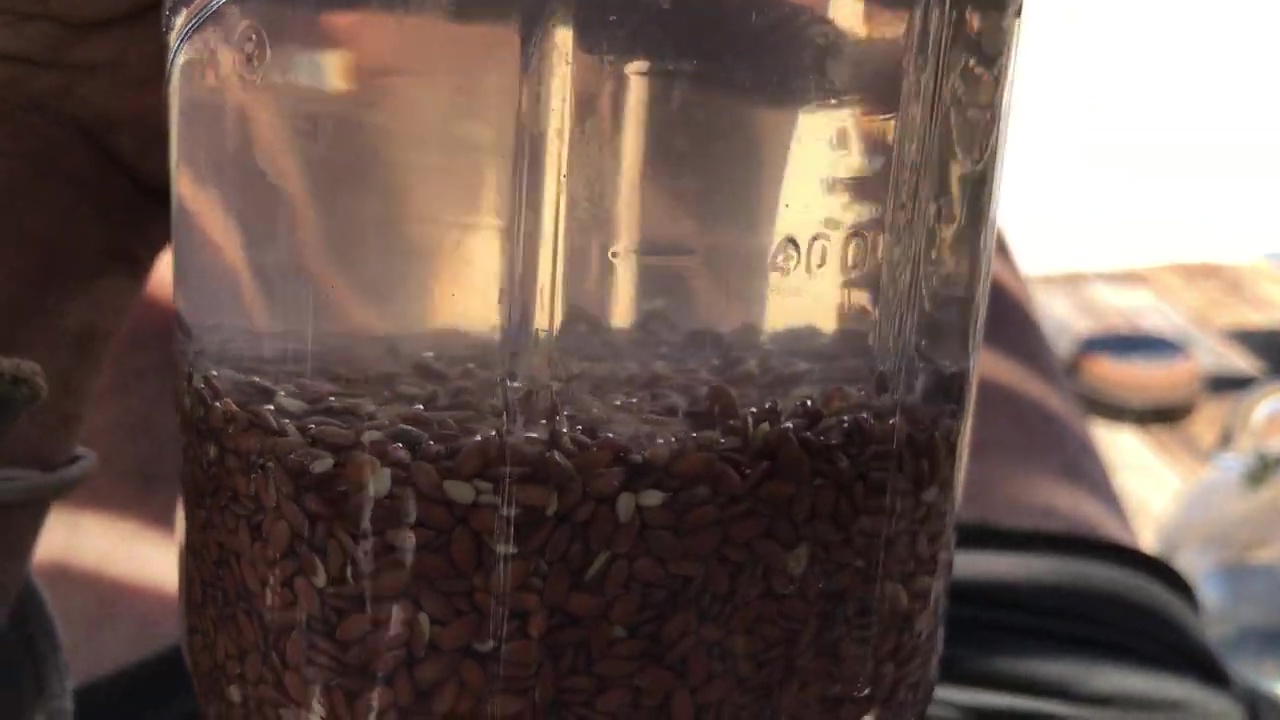 Flax Sprouts Soaking and Catching Bubbles in their Gel Coating