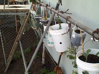 Hanging Garden Buckets and Jugs System