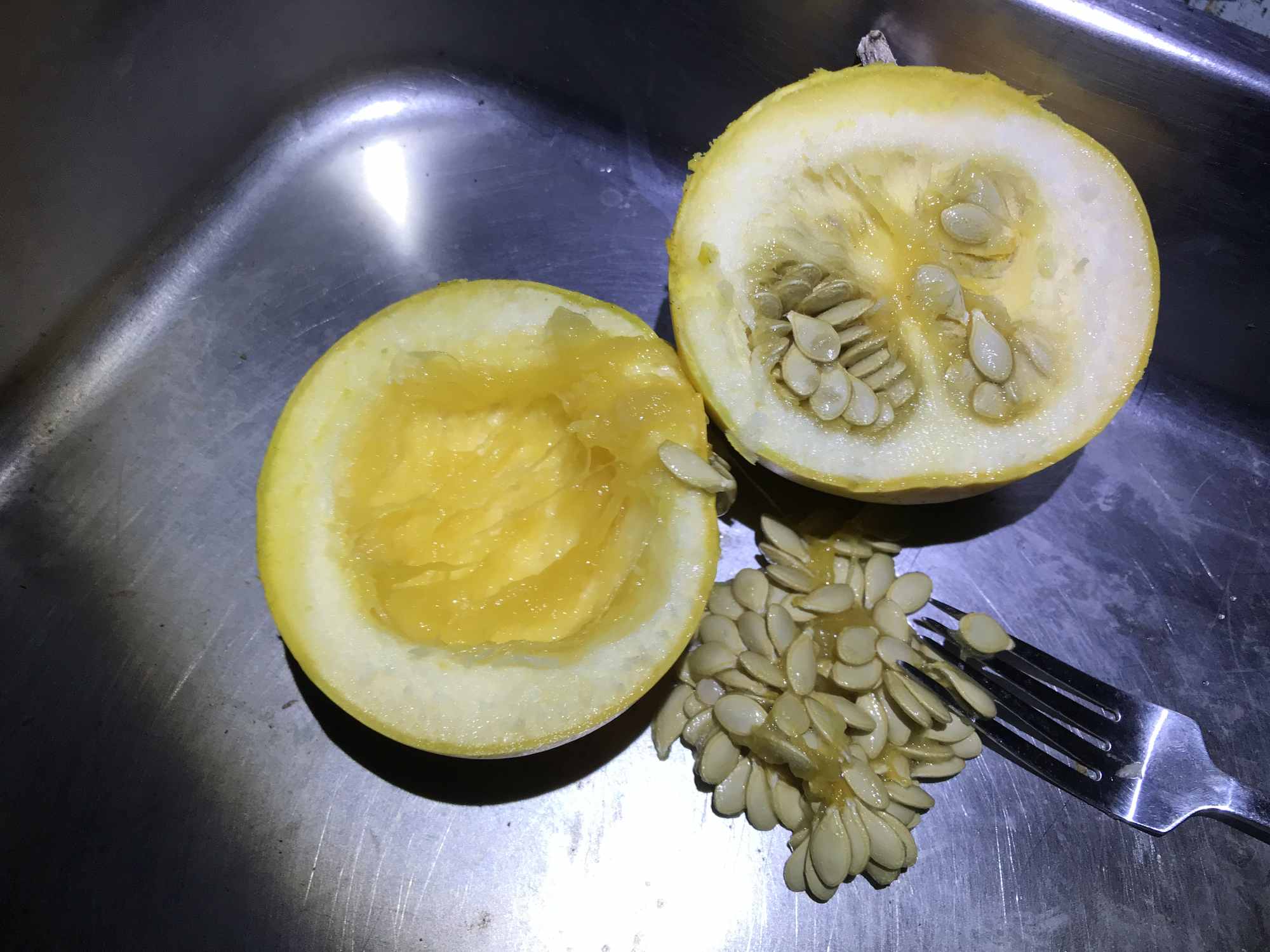 Harvesting Squash Seeds