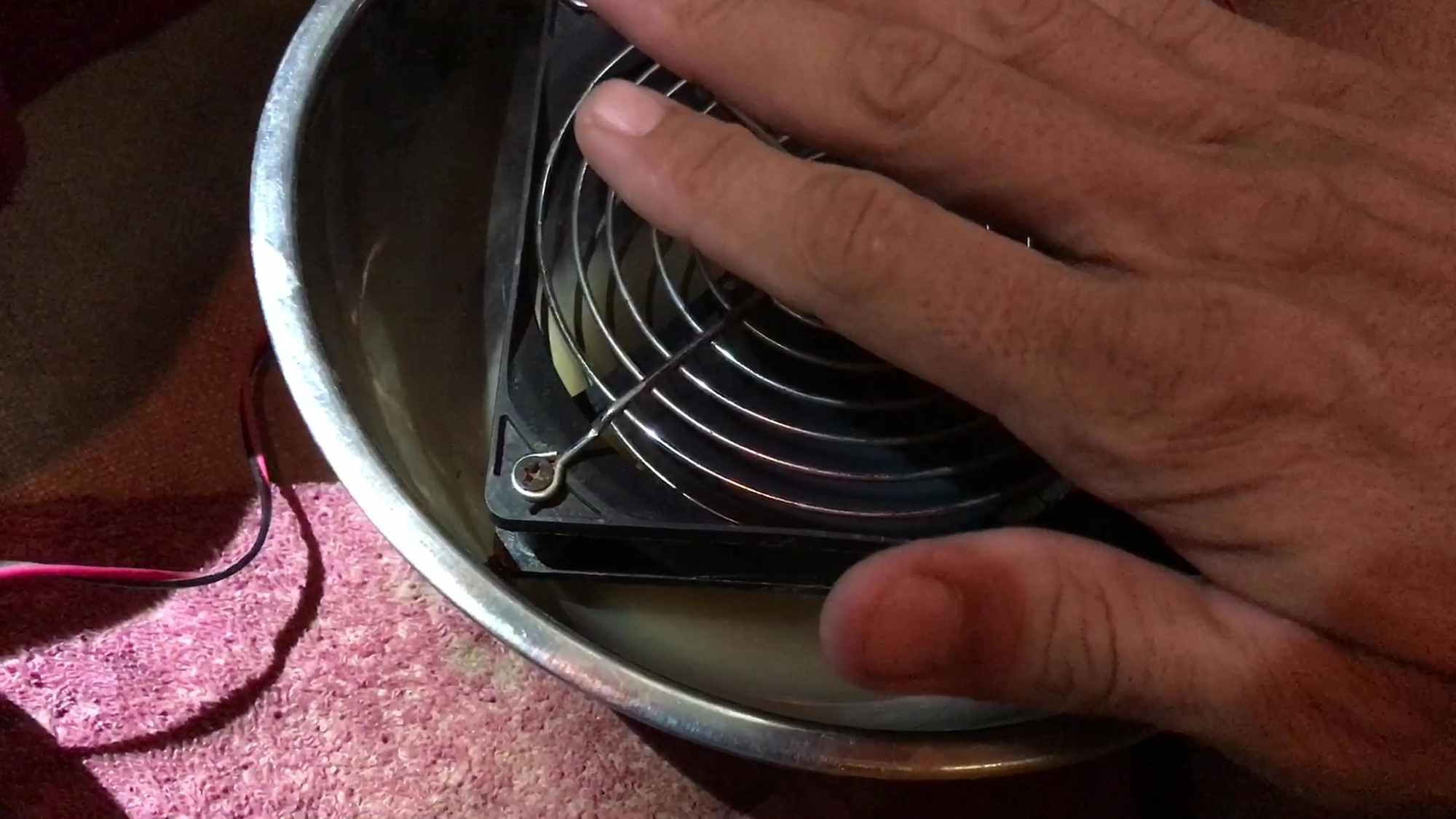 Heatwave Survival w Computer Fan Over Water In Metal Dog Food Bowl for Evaporative Cooling Bandana 01 Warm Air Above Fan