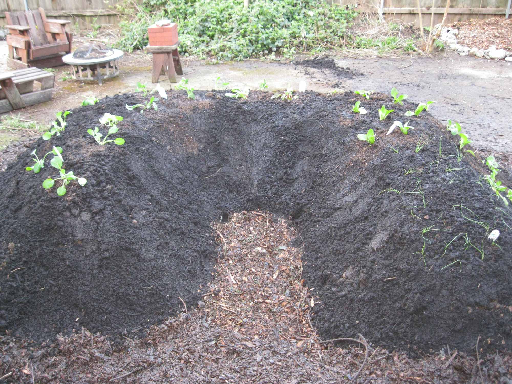 Horse Shoe Hugelkultur Mound in Backyard Food Forest Garden 02