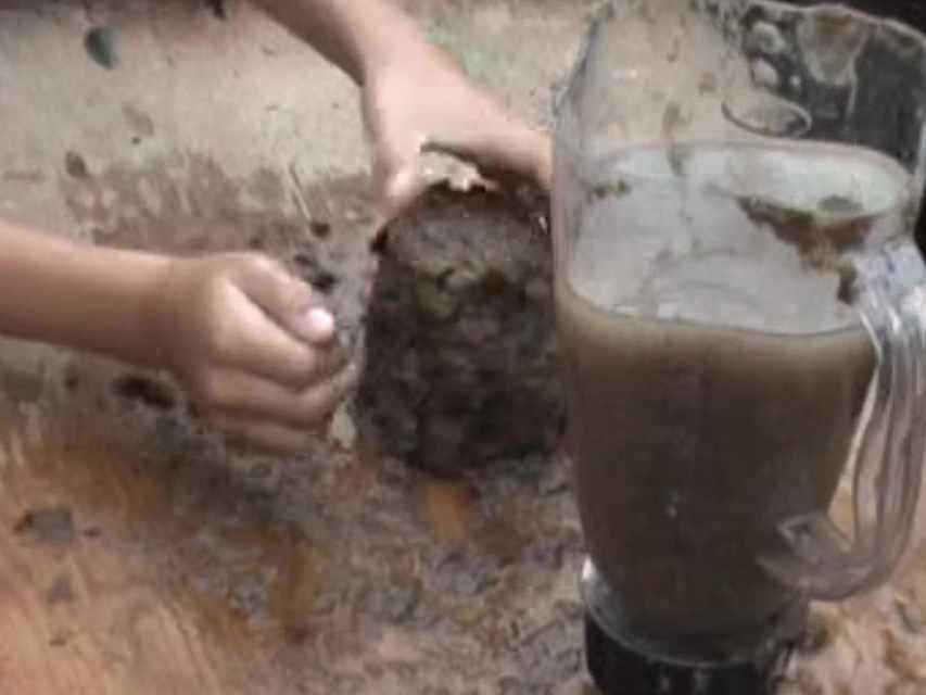 Making Biodegrable Nursery Seedling Pots With Recycled Cardboard