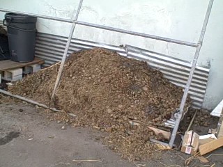 Manure Pile in the Survival Garden