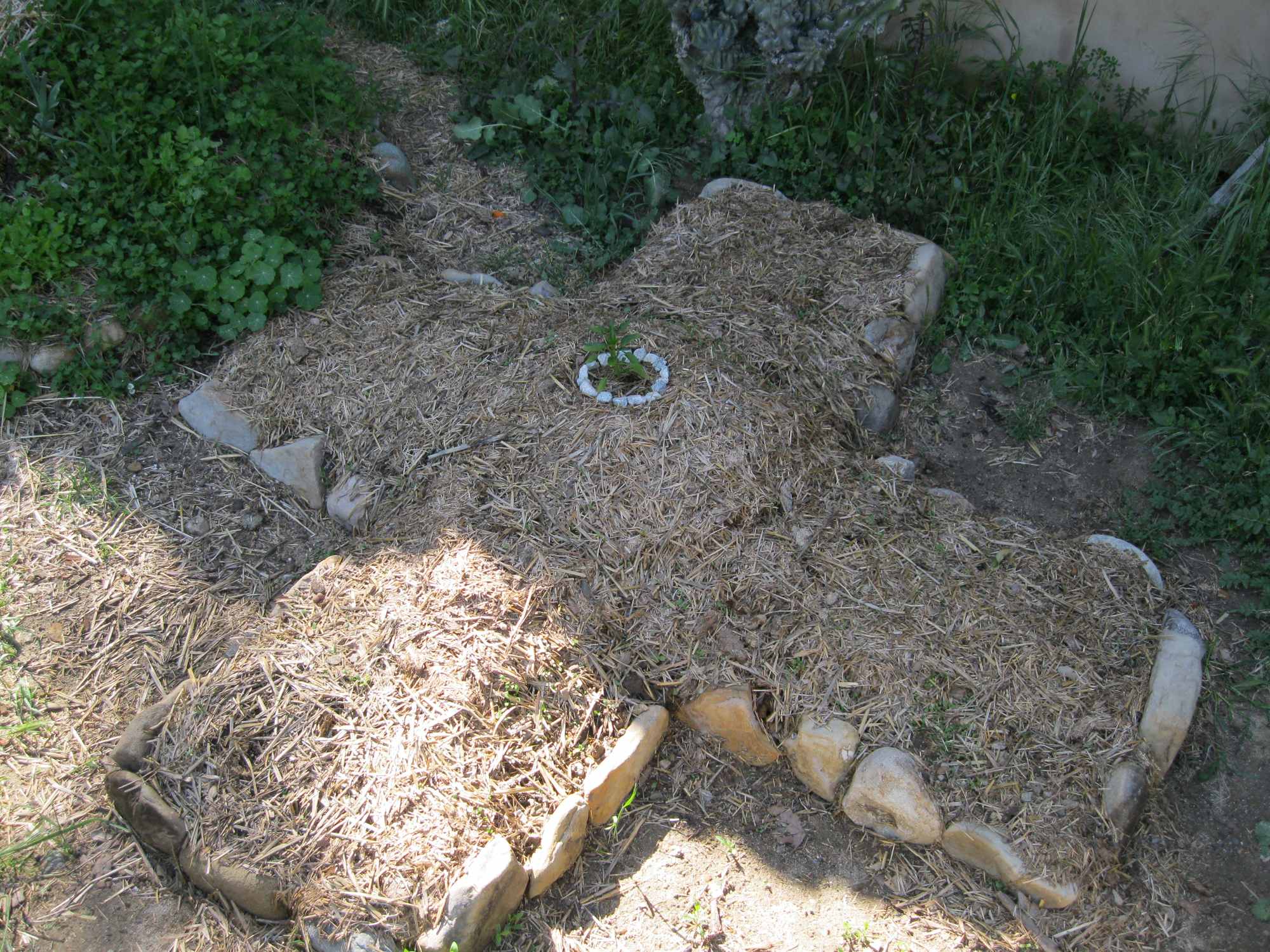 Medicinal Herb Cross Garden Bed