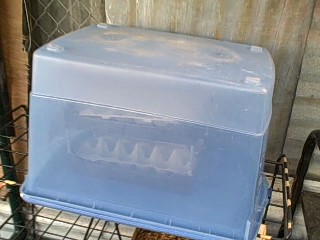 Micro Green House Nursery Seed Starting Box from Inverted Plastic Bin for More Light