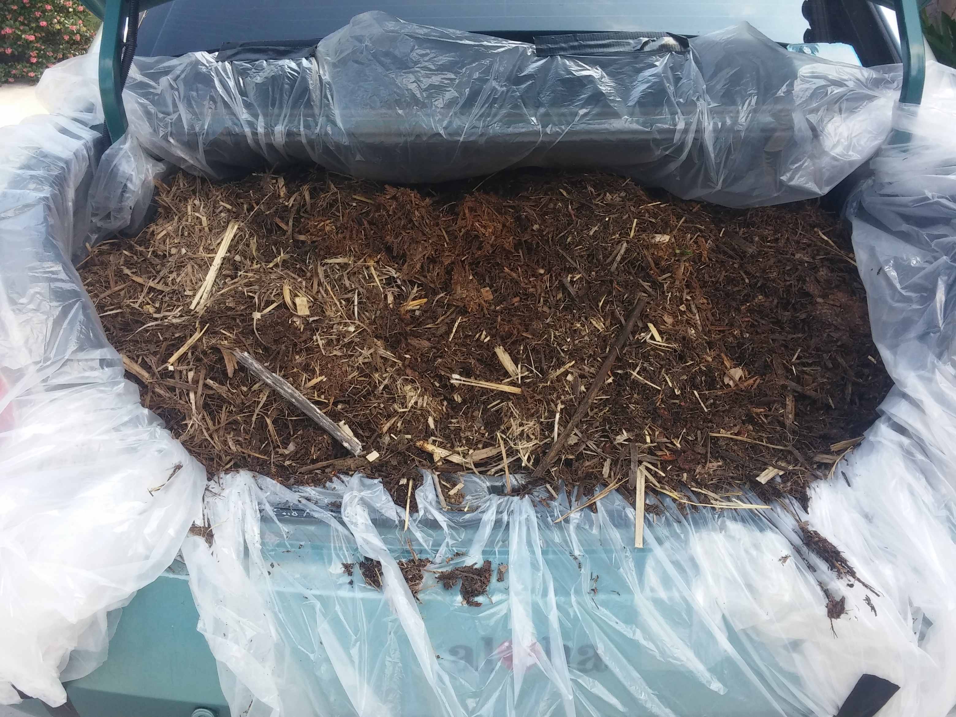 Mulch in Car Trunk