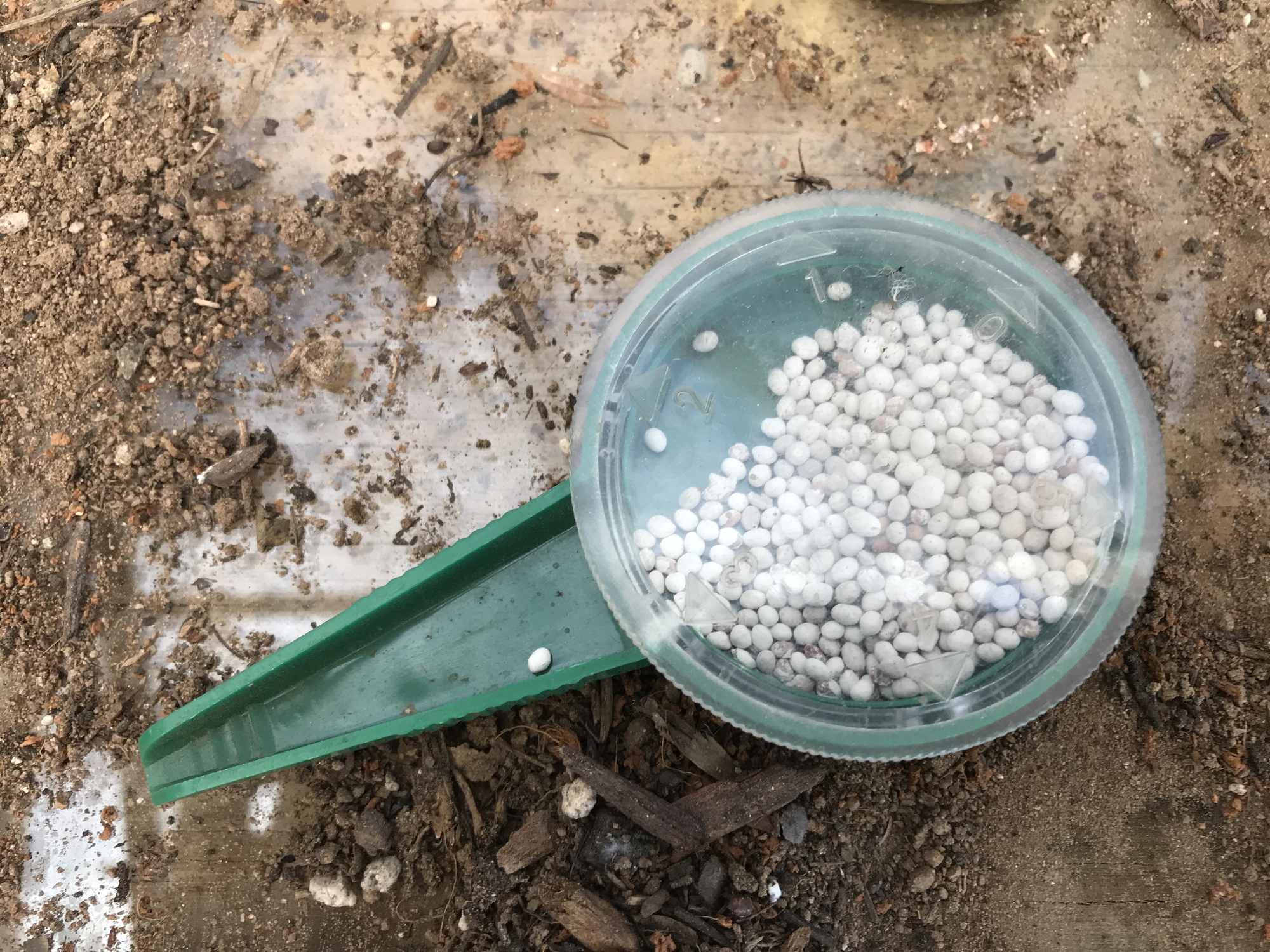 Nursery Seed Dispenser