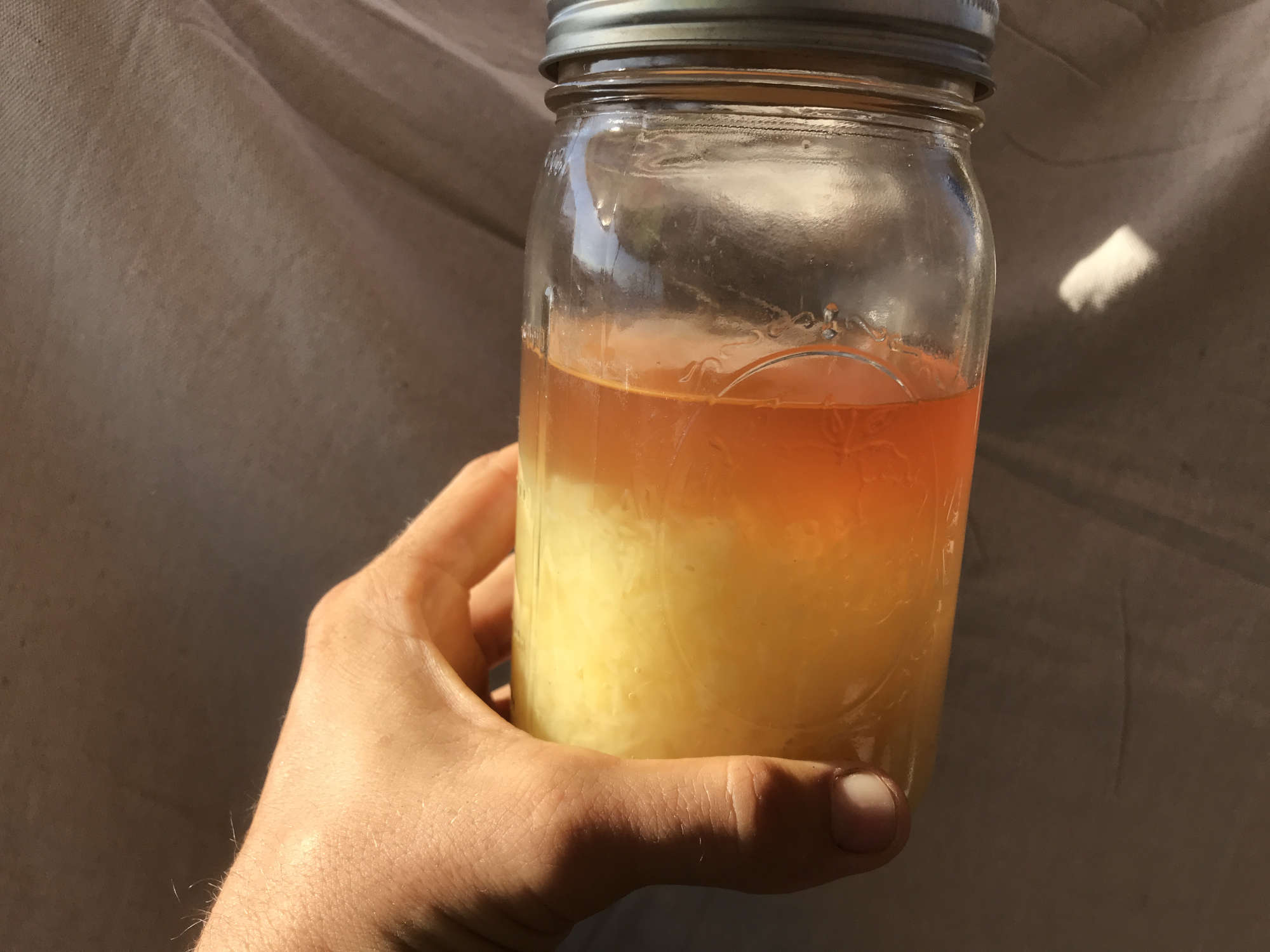 Pineapple Preserved in A Jar of Honey Wine Mead