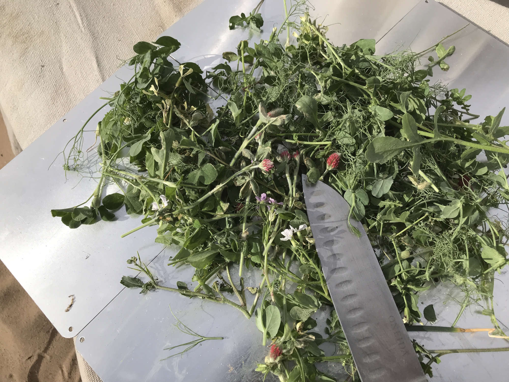 Portable Metal Cutting Board with Fresh Garden Herbs and Leafy Greens Harvest