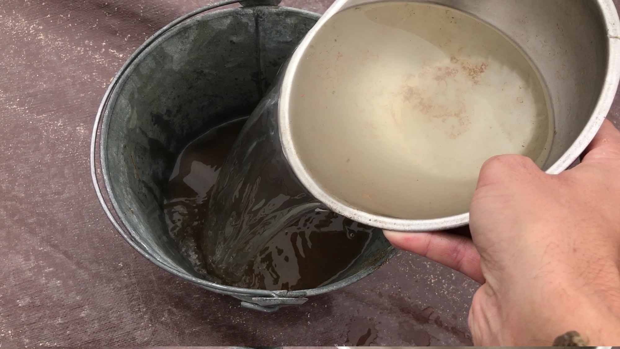 Pouring Harvested Rain Water From Metal Bowl To Galvanized Pail