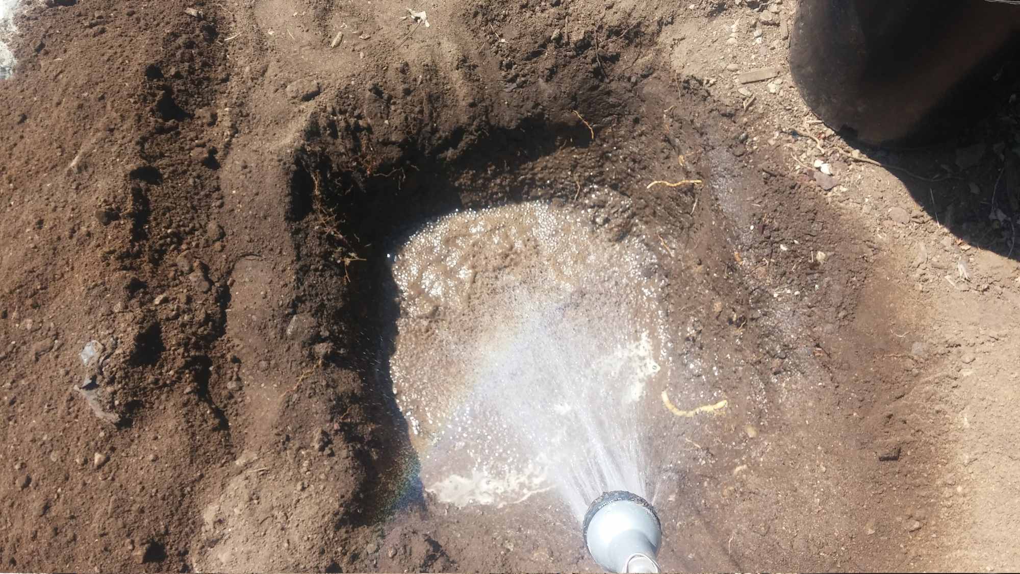 Pre Filling Tree Planting Hole with Water for Better Saturation