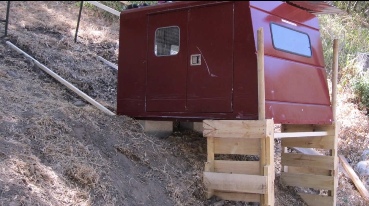 Predator Hardened Elevated Chicken Shelter