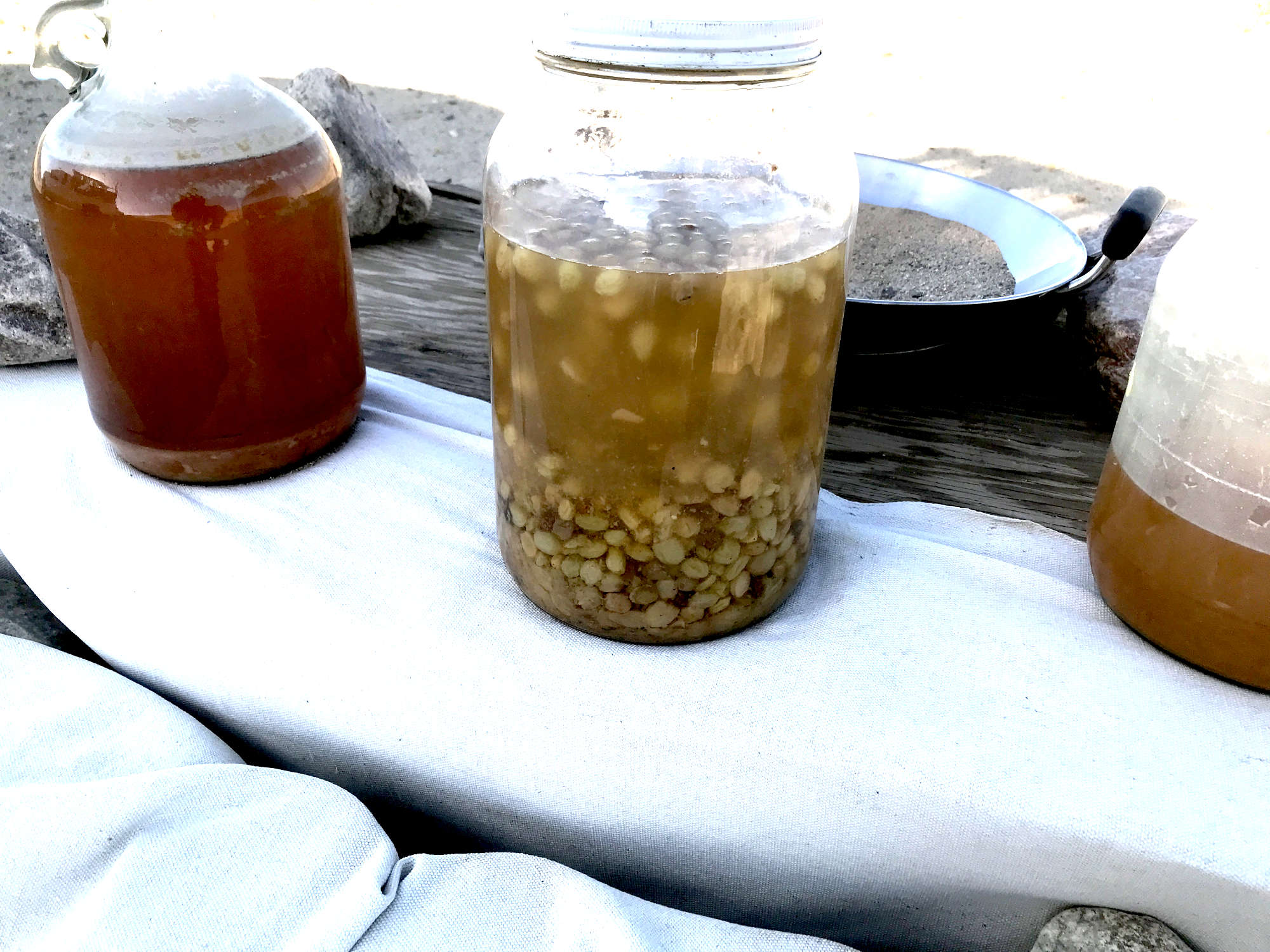 Brewing Raisin Wine with a One-Gallon Fermentation Jar 