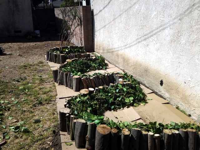 Repurposed Yard Clipping Bush Branch Segment Framed Garden Beds