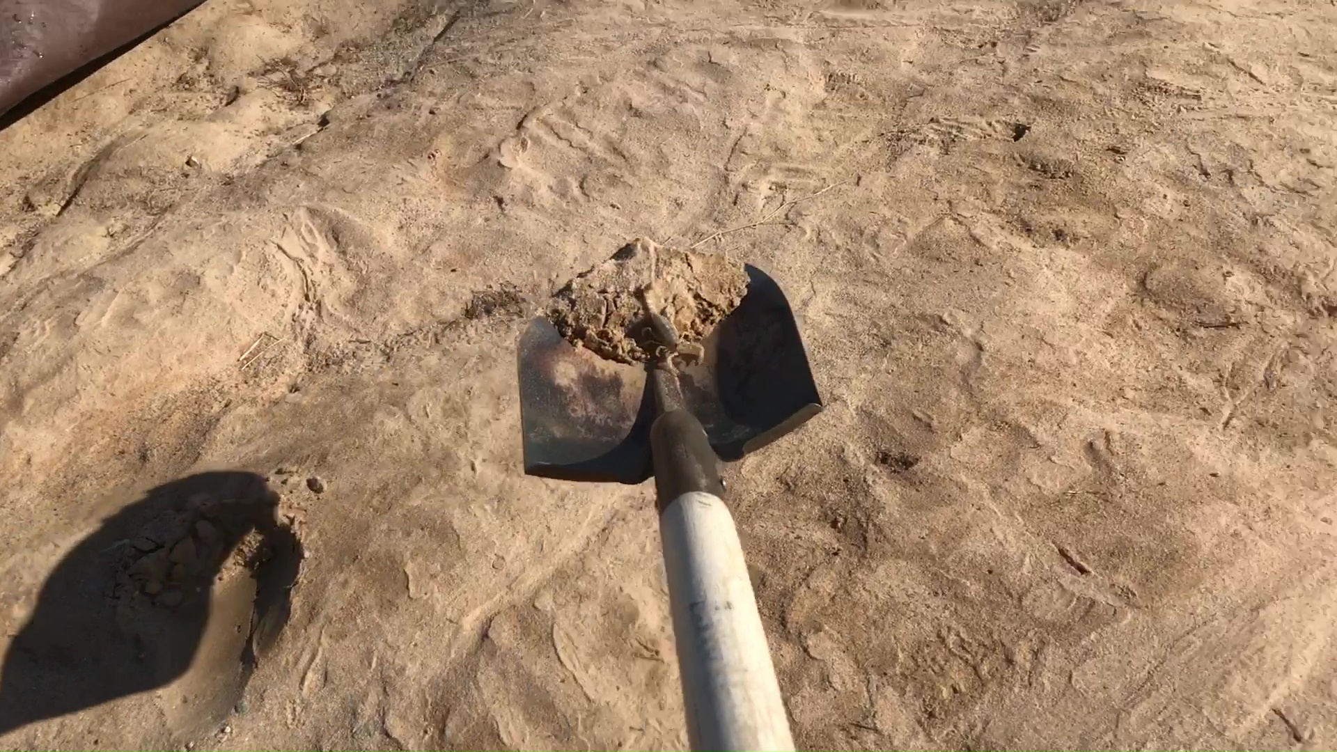 Rescuing Desert Scorpion With Shovel 03