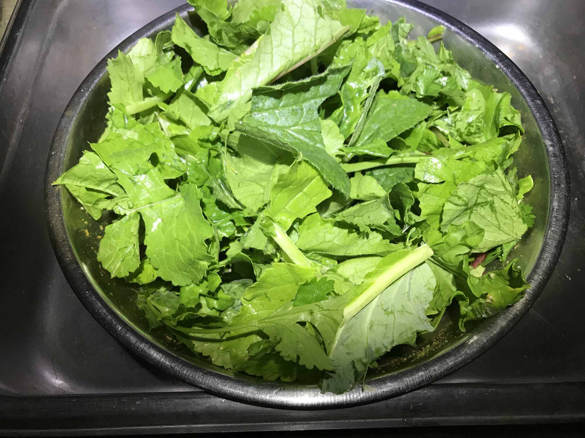 Salad Harvest