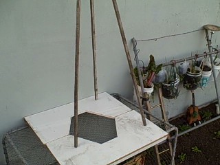 Salvaged Material Trellis  in the Survival Garden