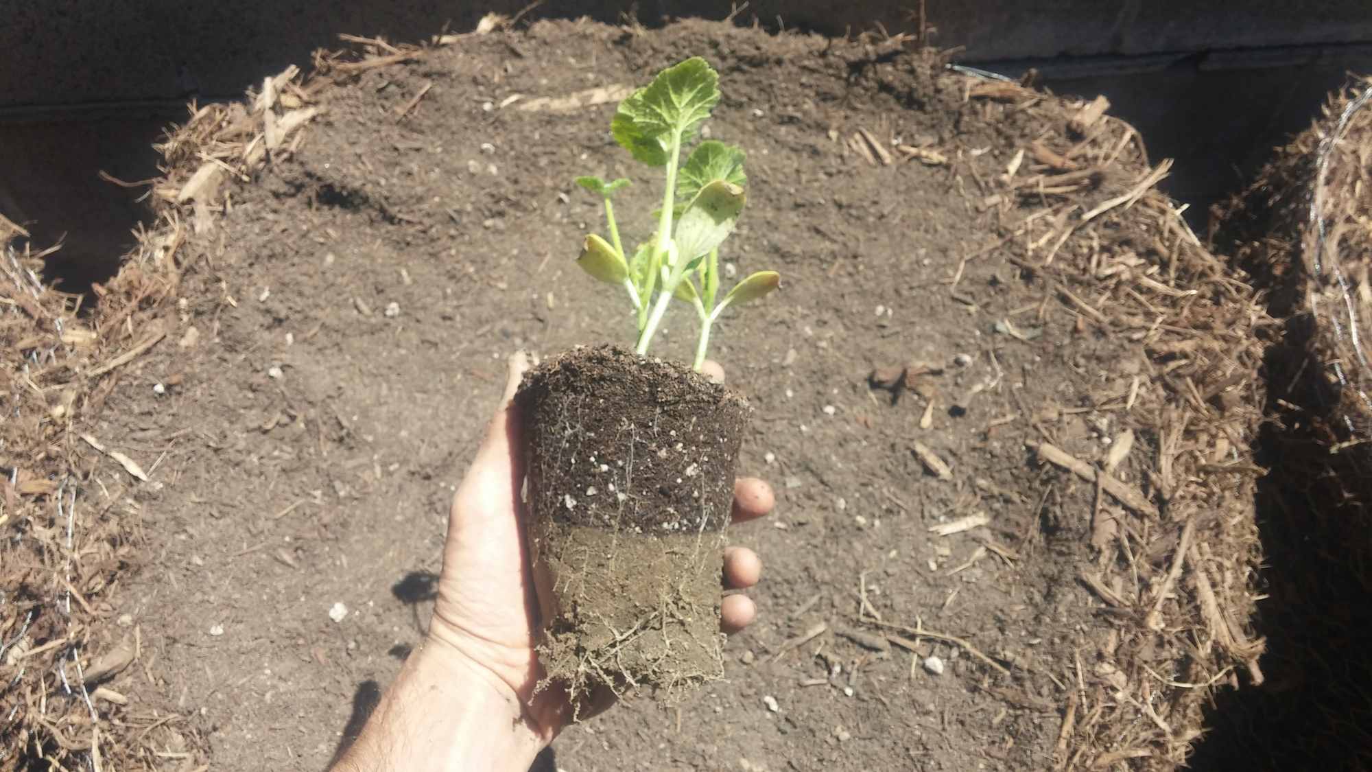 Sand Base of Subirrigation Nursery Pot