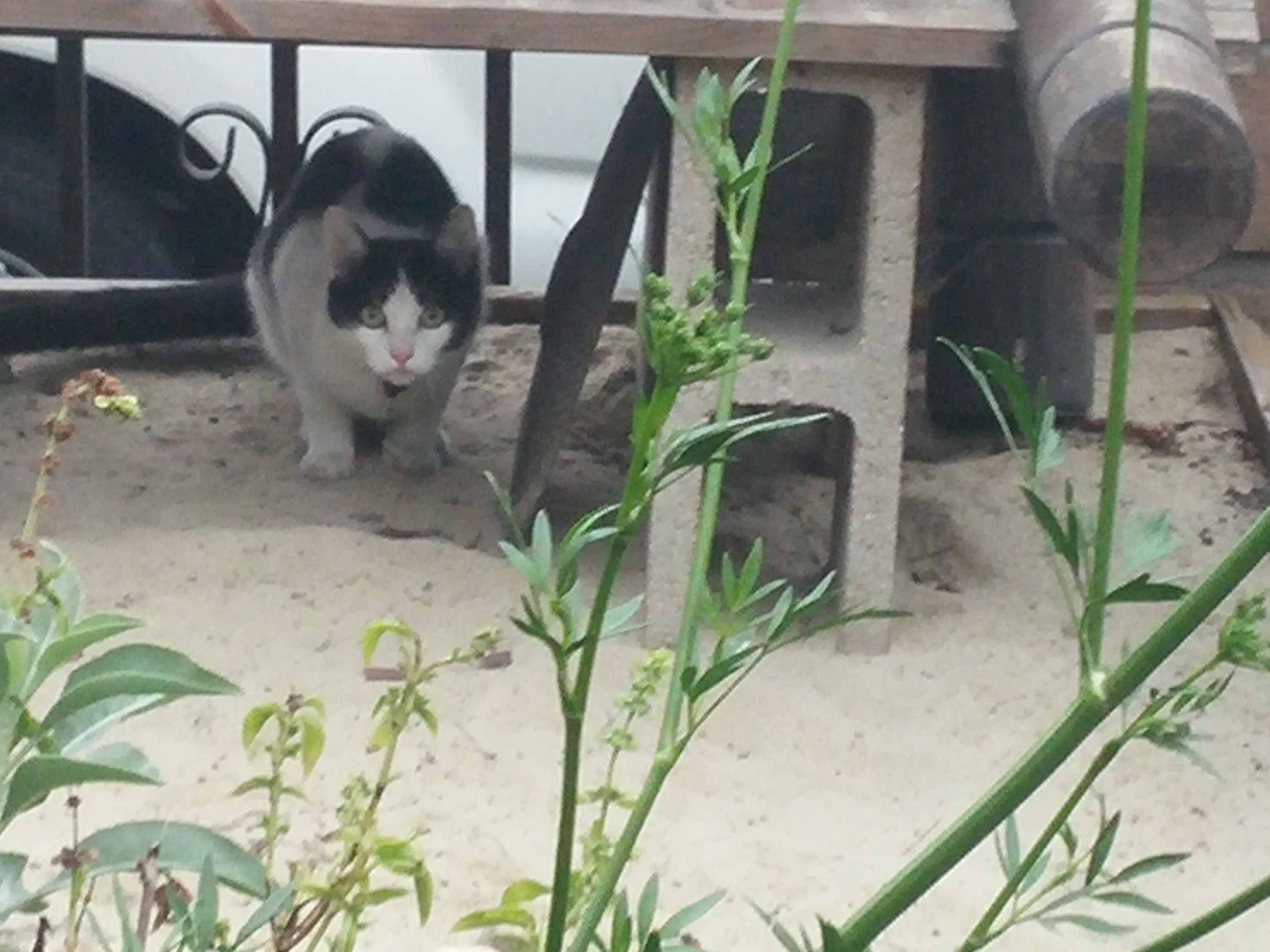 Sand Bench