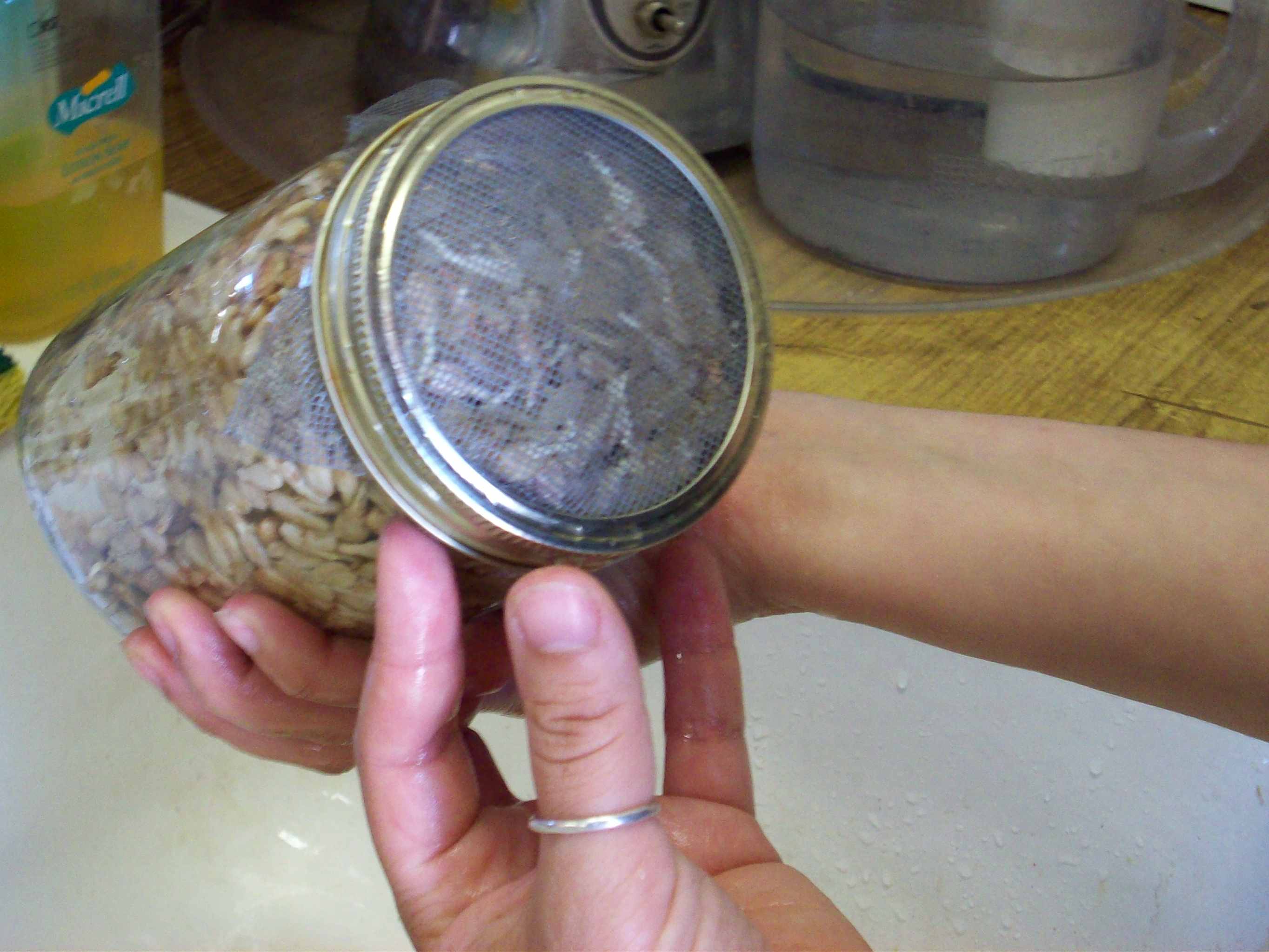 Survival Sprouting Jar with Wire Screen Mesh Top 02