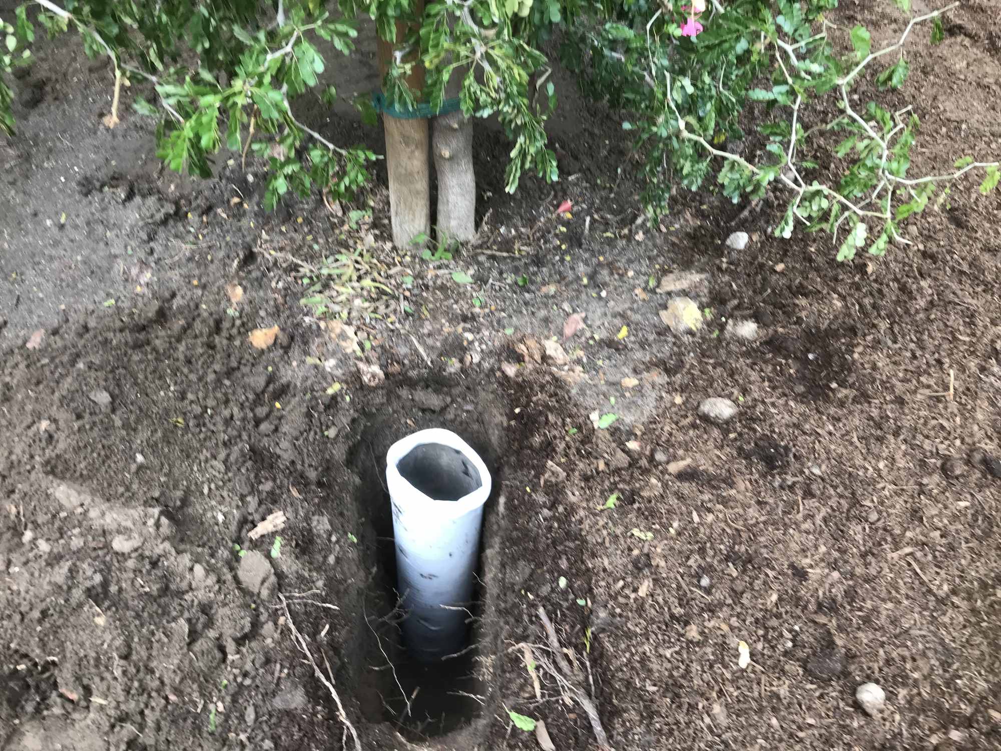 Tree Root Irrigation Pipe