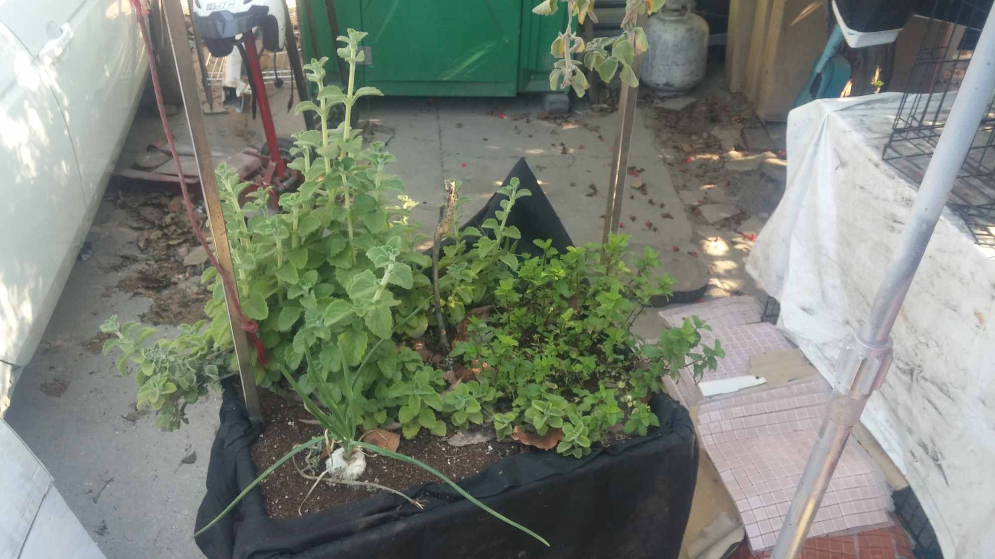 Upcycled Salvaged Laundromat Cart Rolling Wheeled Vegetable Herb Garden Container System