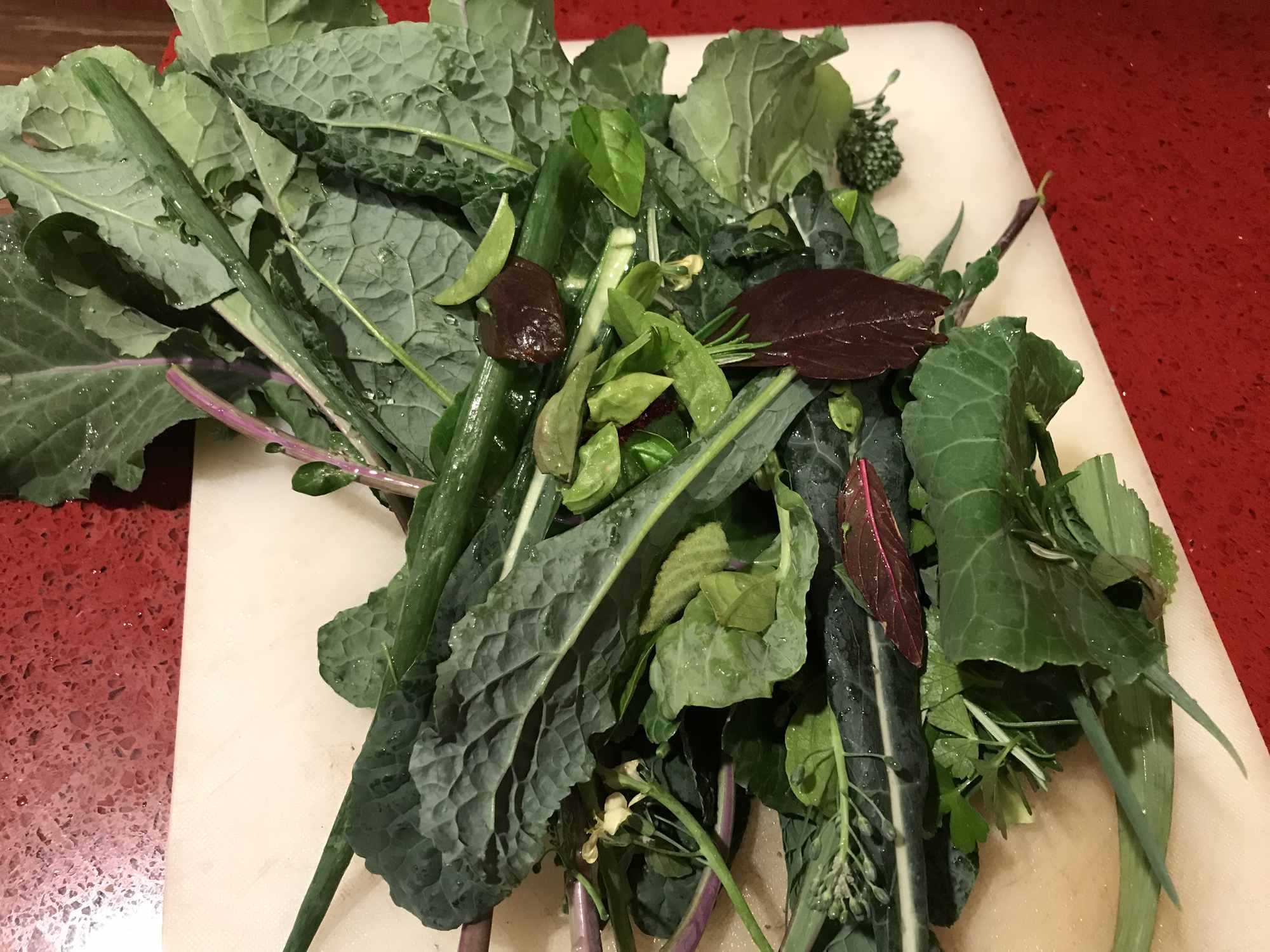 Urban Permaculture Food Forest Garden Harvests Salad Greens