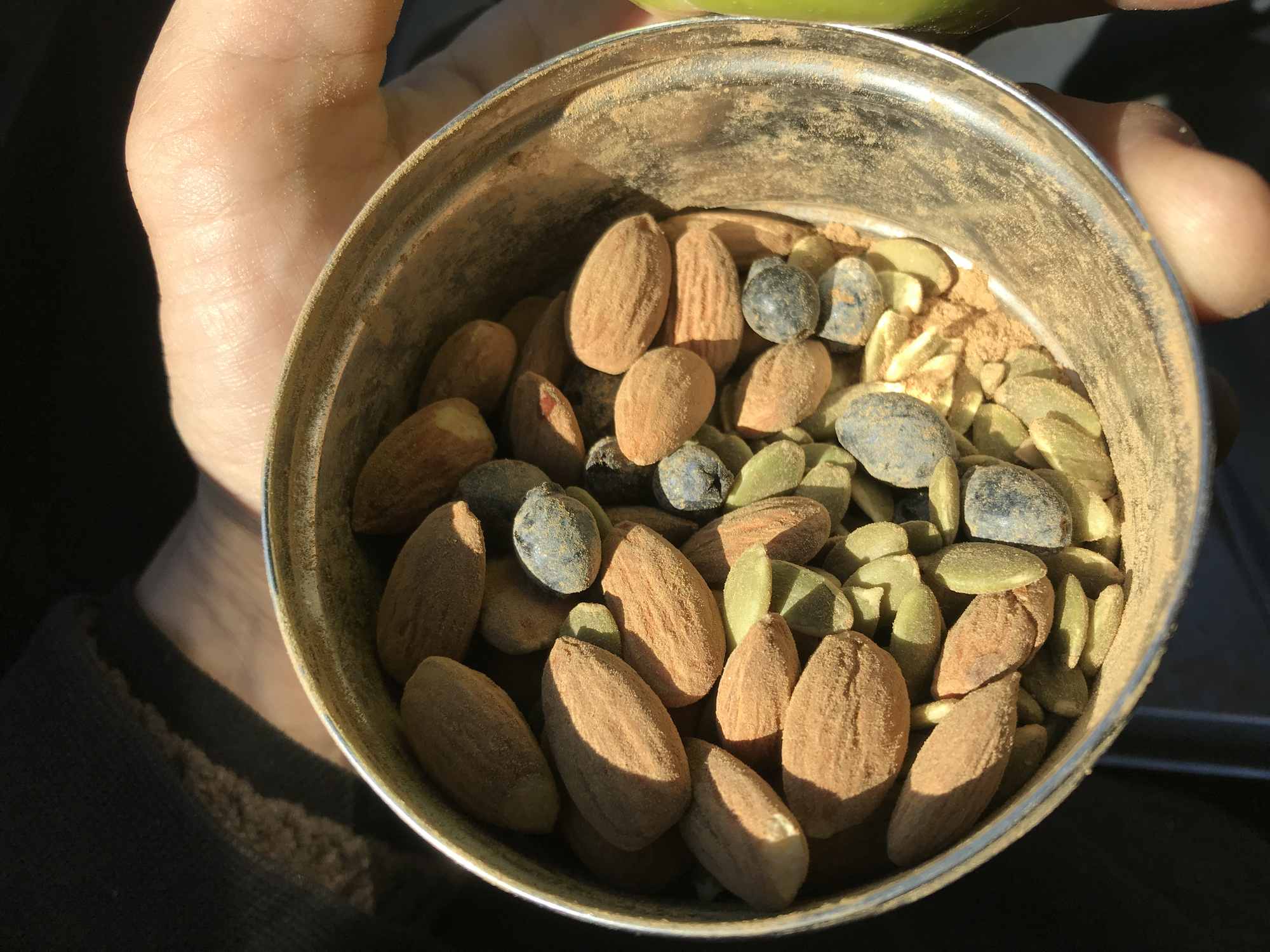 Wild Berry Harvest