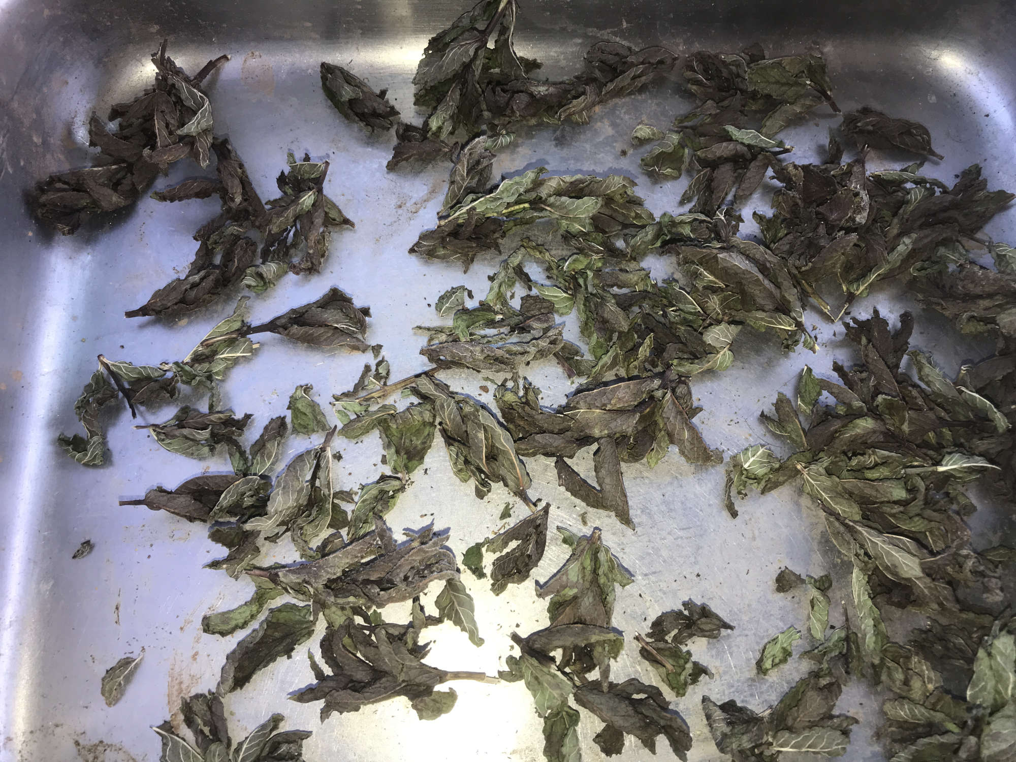 Windshield Sun Dried Mint Herbs in Stainless Steel Tray